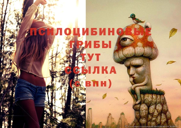 соль ск Всеволожск